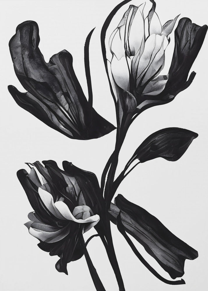 Svart blomma | Canvas