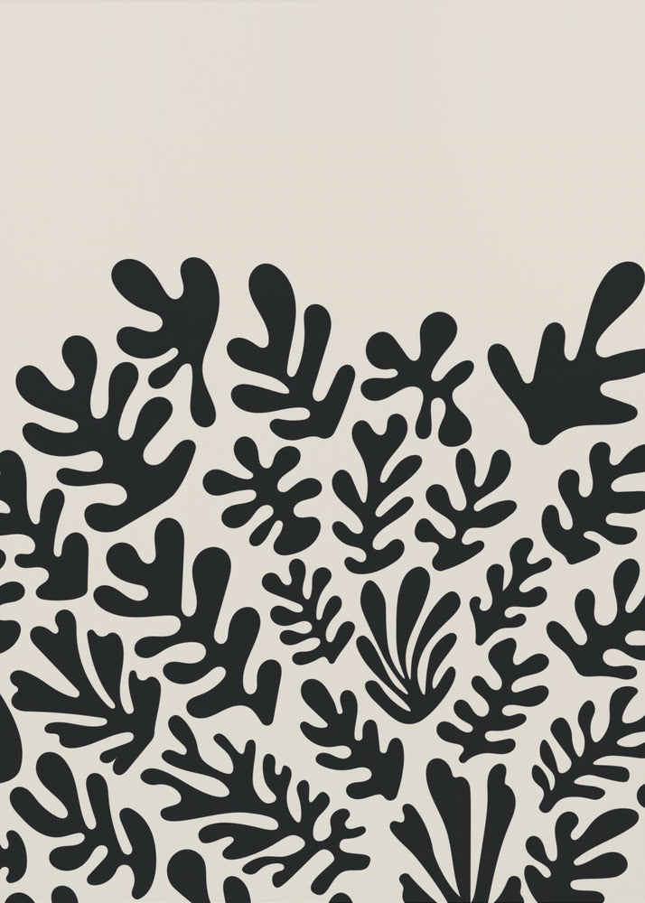 Kolekcja czarnych alg Henri Matisse'a #2 | Wydruki na łótnie