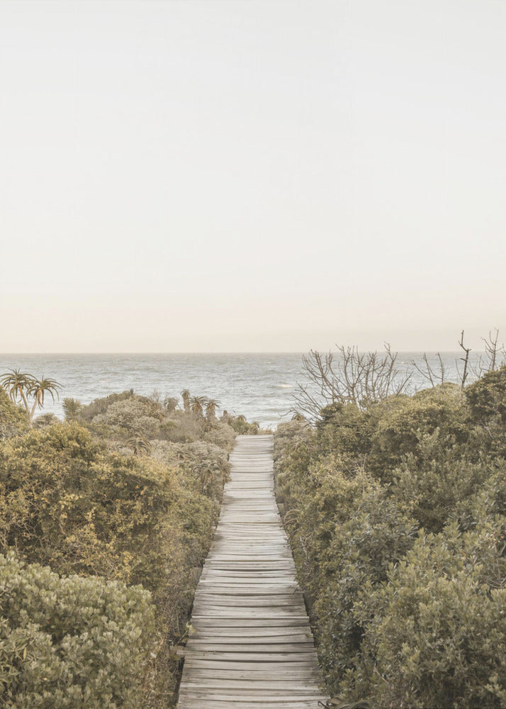 Boardwalk | Canvas