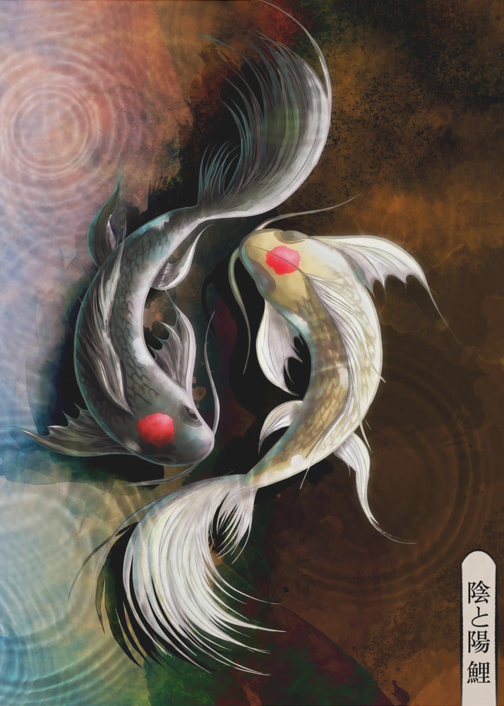 Koi oscuro | Impresiones en Lienzo