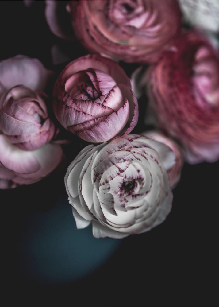 Dark Flowers 2 | Poster