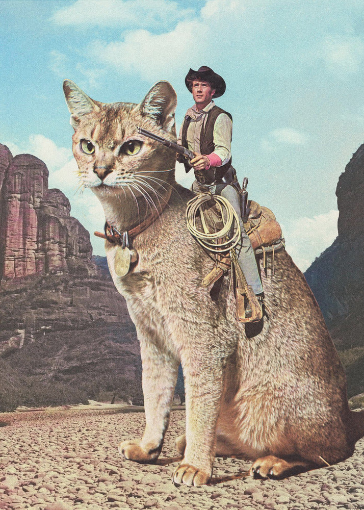 Katze Lone Ranger | Leinwand-Bilder