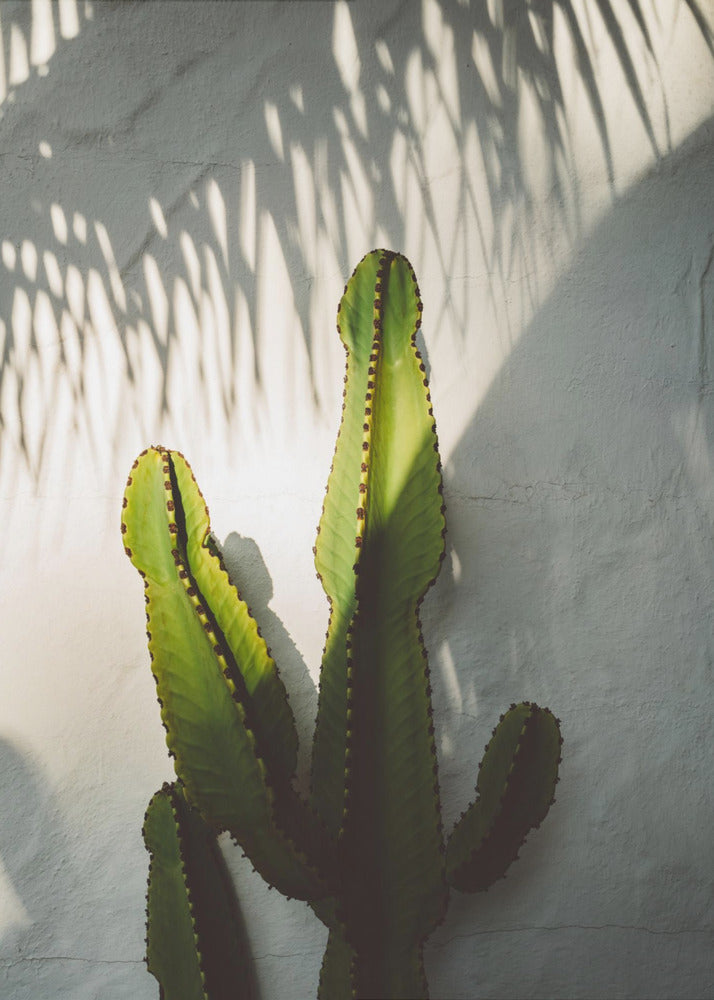 Ombres sociales | Tableaux sur Toile