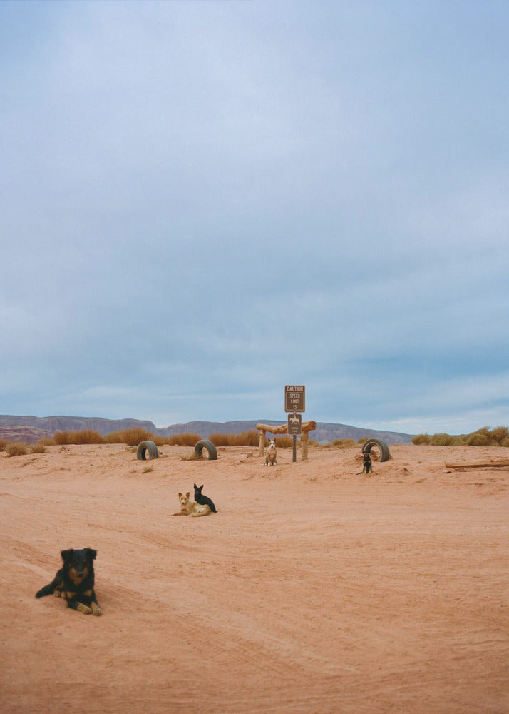 Monument Valley VIII | Stampe su Tela