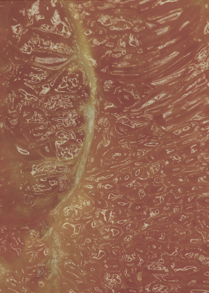 Citrus Mosaic | Poster