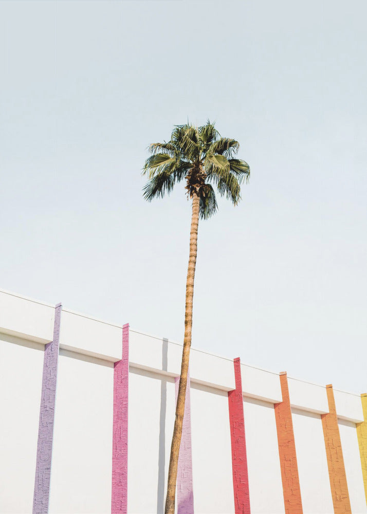 Palm Spring Farver 2 | Lærredsbilleder