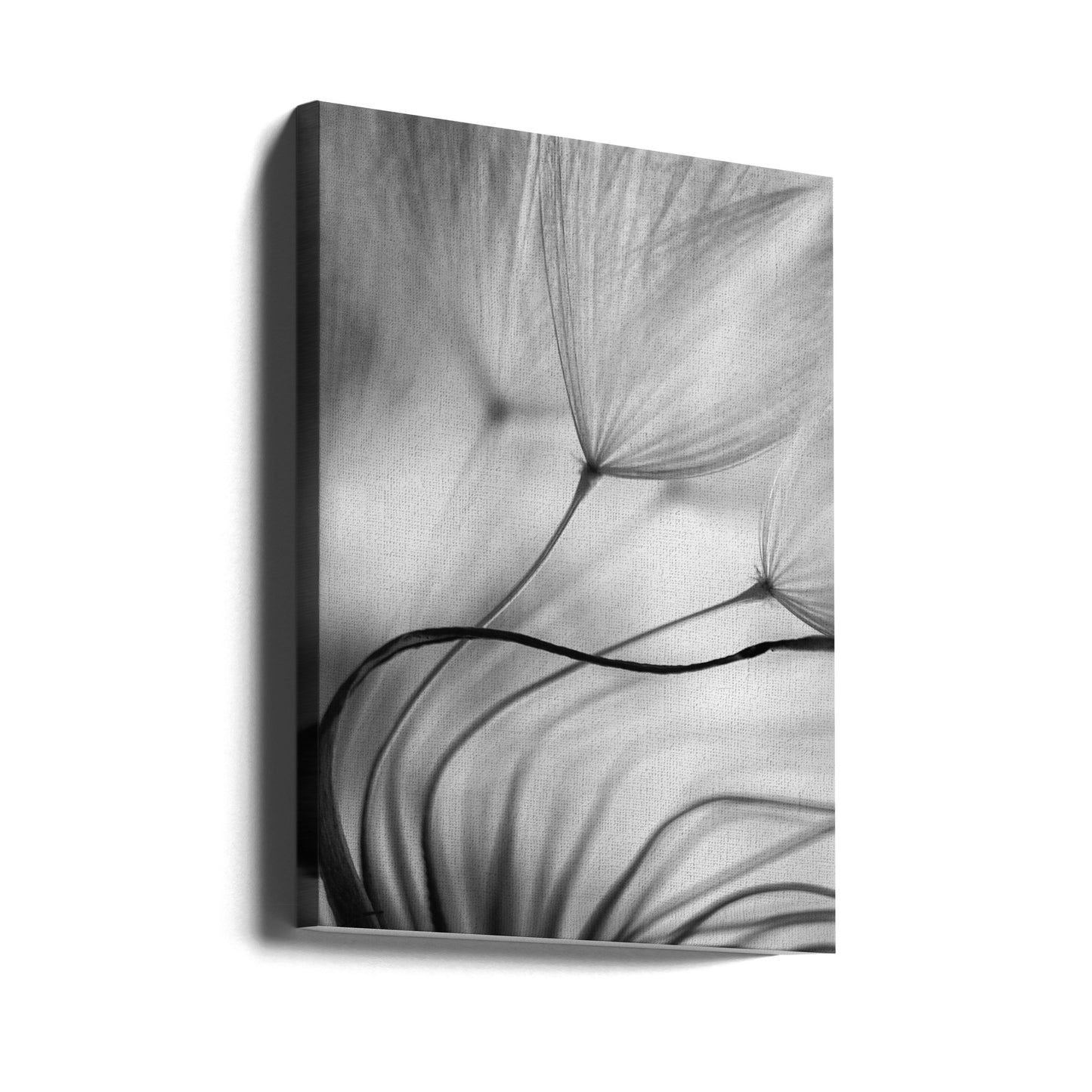 Luta dig mot mig | Canvas