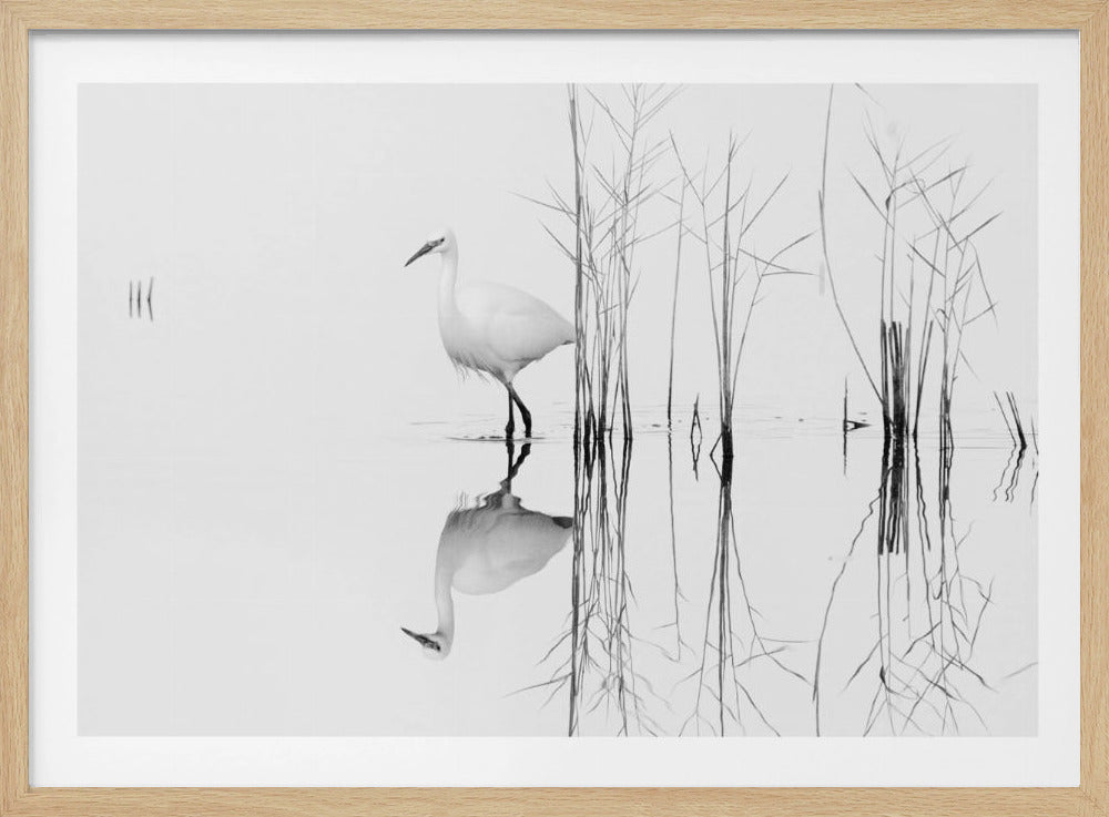 blanco | Posters  - Impresiones de Arte