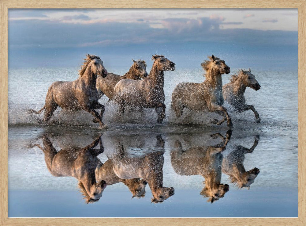 Heste og refleksion | Plakater - Kunsttryk
