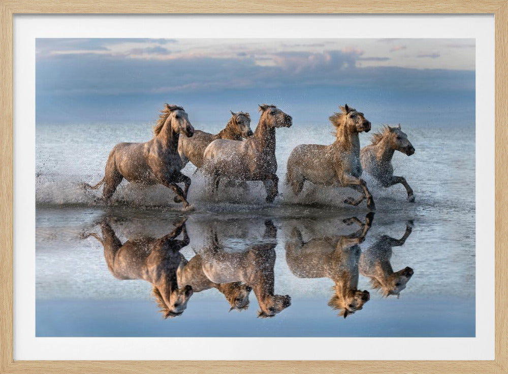 Heste og refleksion | Plakater - Kunsttryk