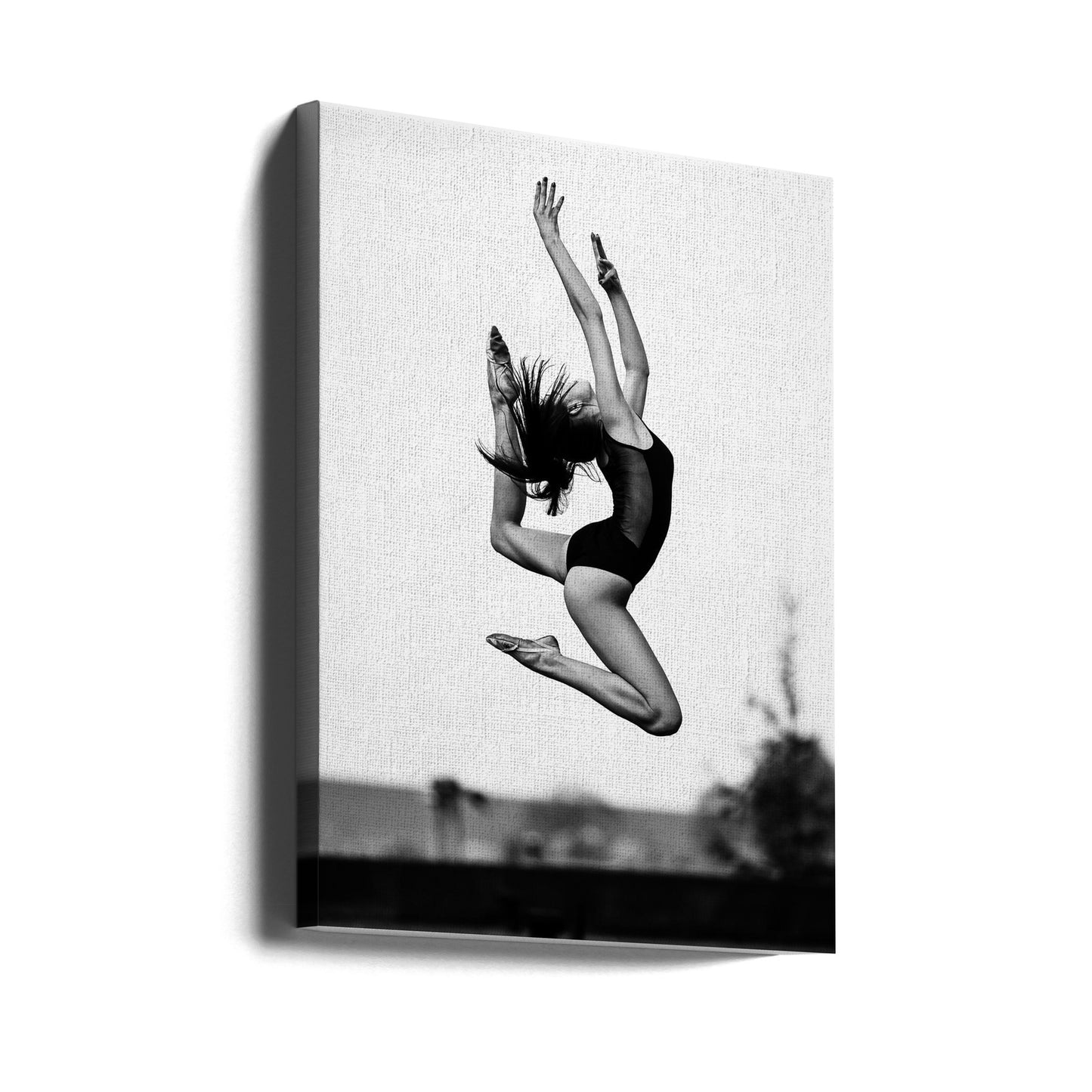 Dans [Radka] | Canvas