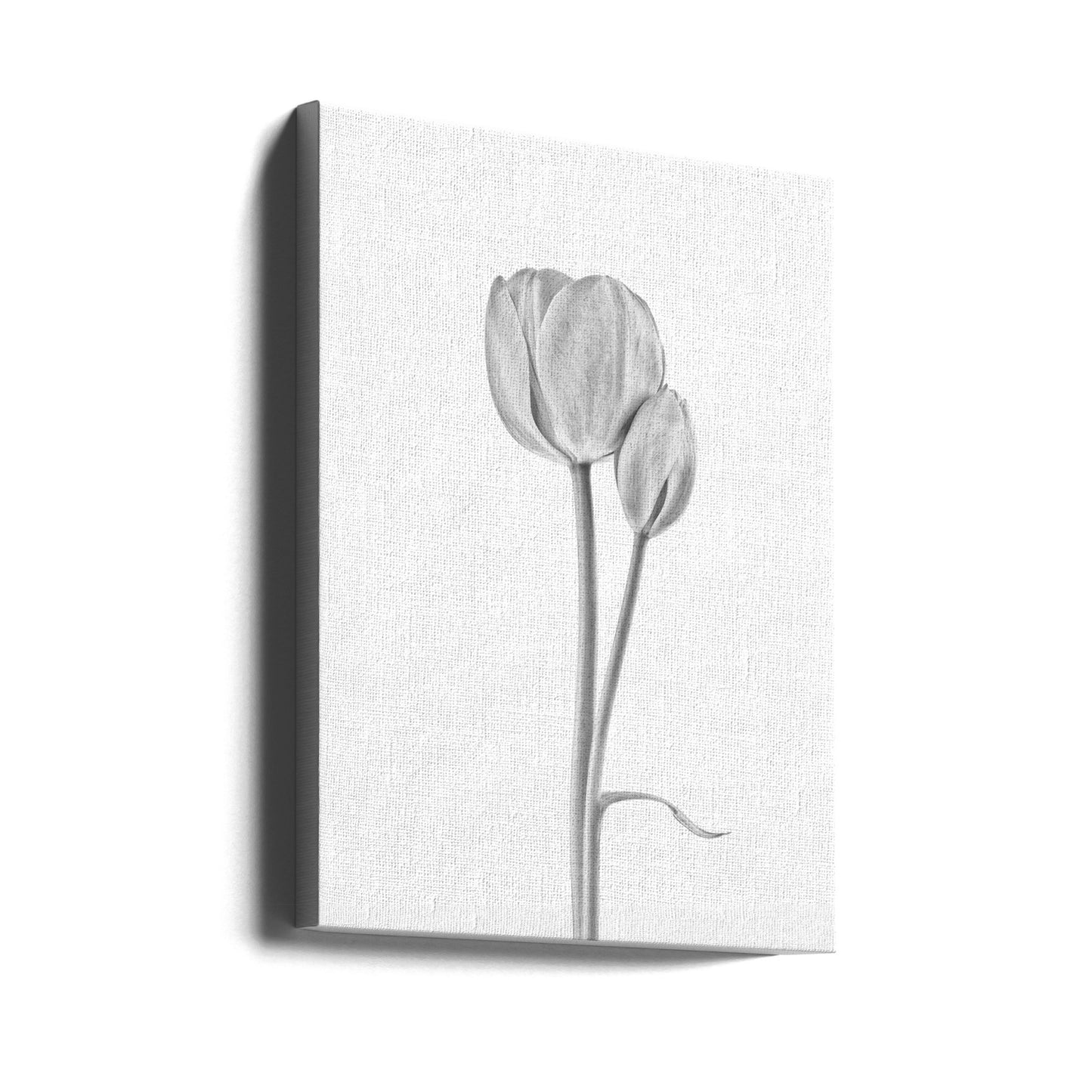 Ansluten | Canvas