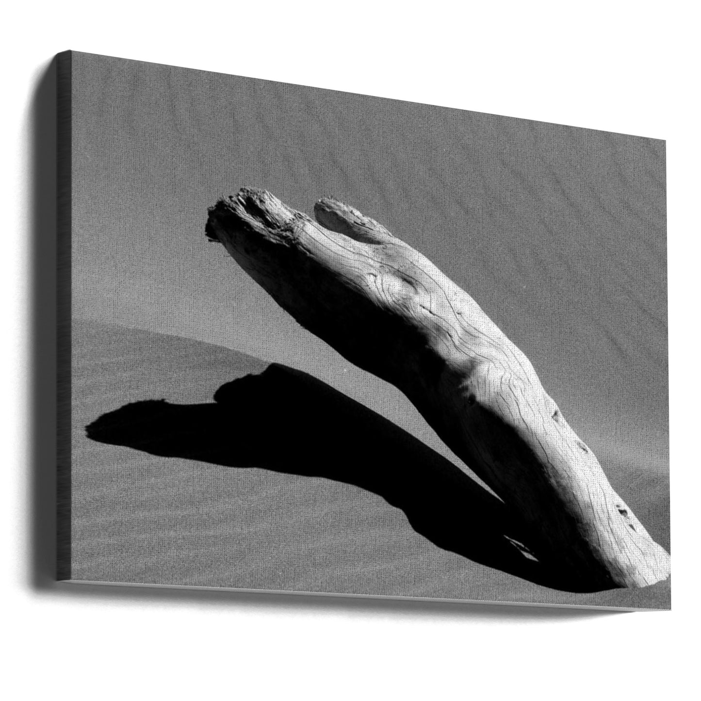 Ergo | Canvas