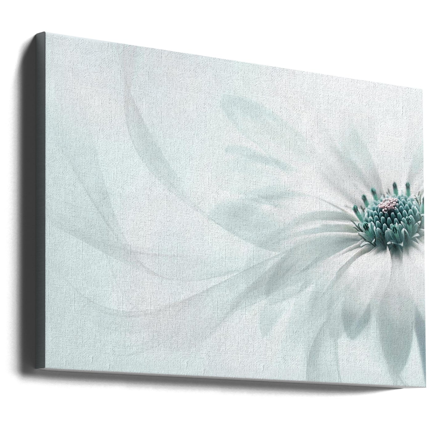 Renhet | Canvas