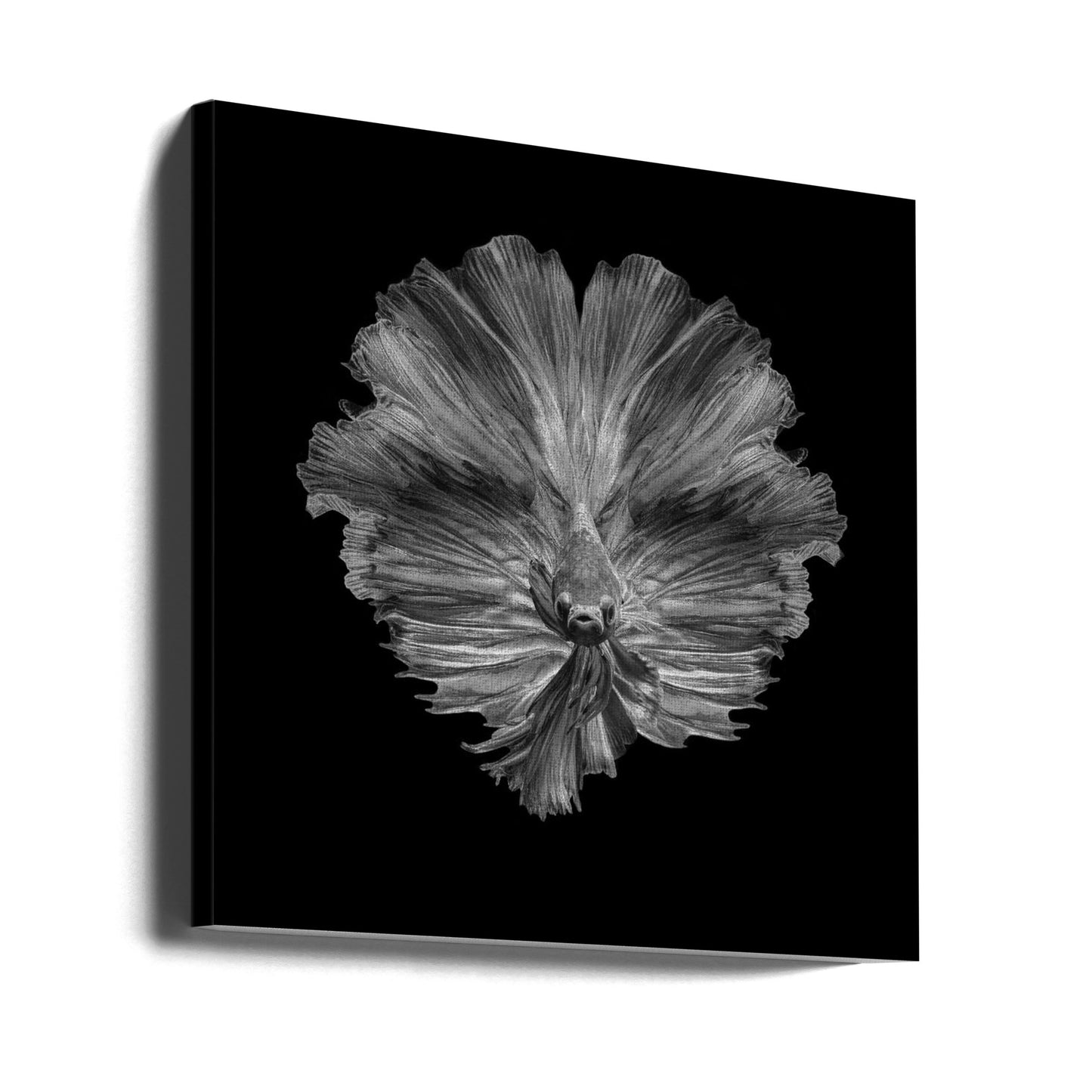 The Flower of tail | Canvas