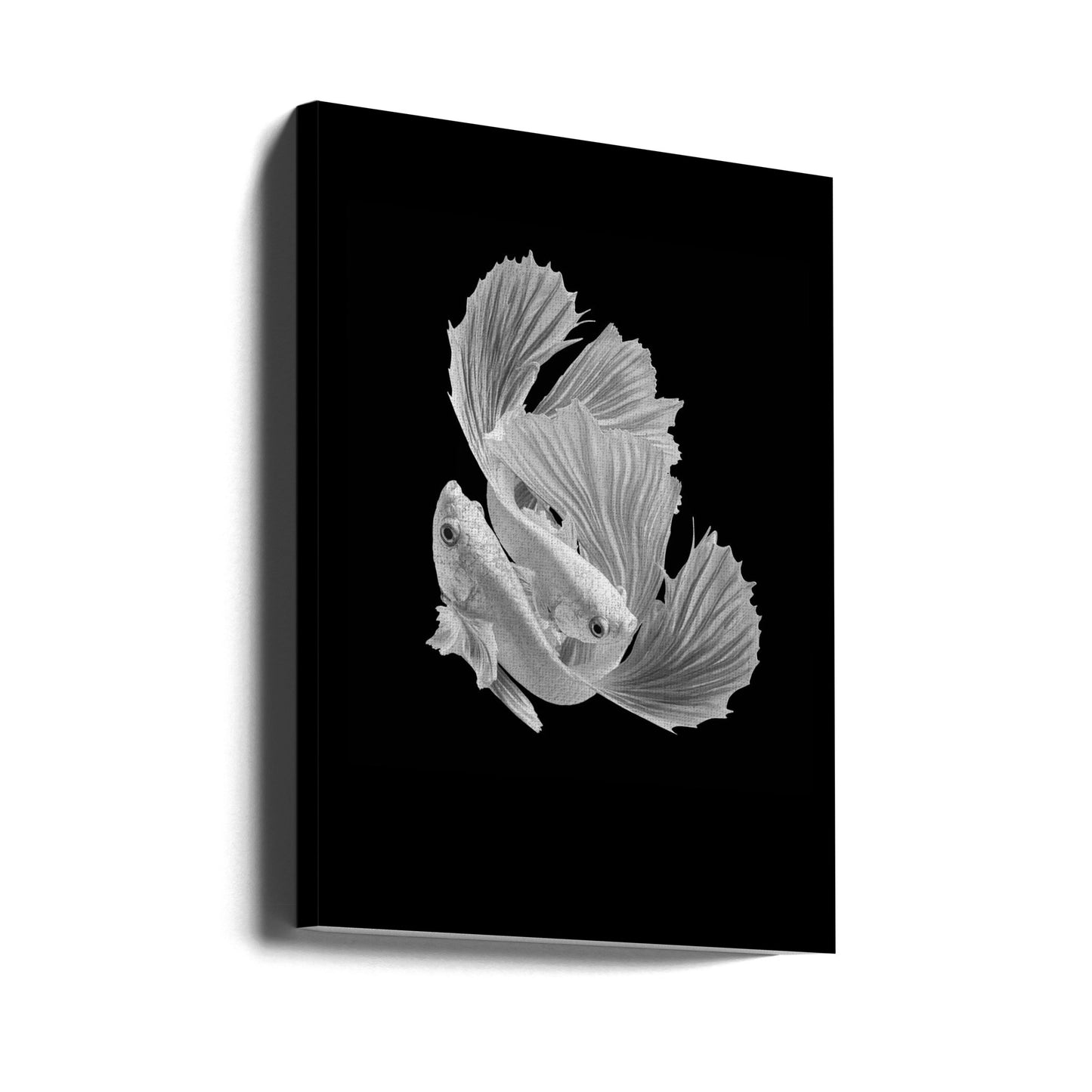 Hvid kærlighed | Lærredsbilleder