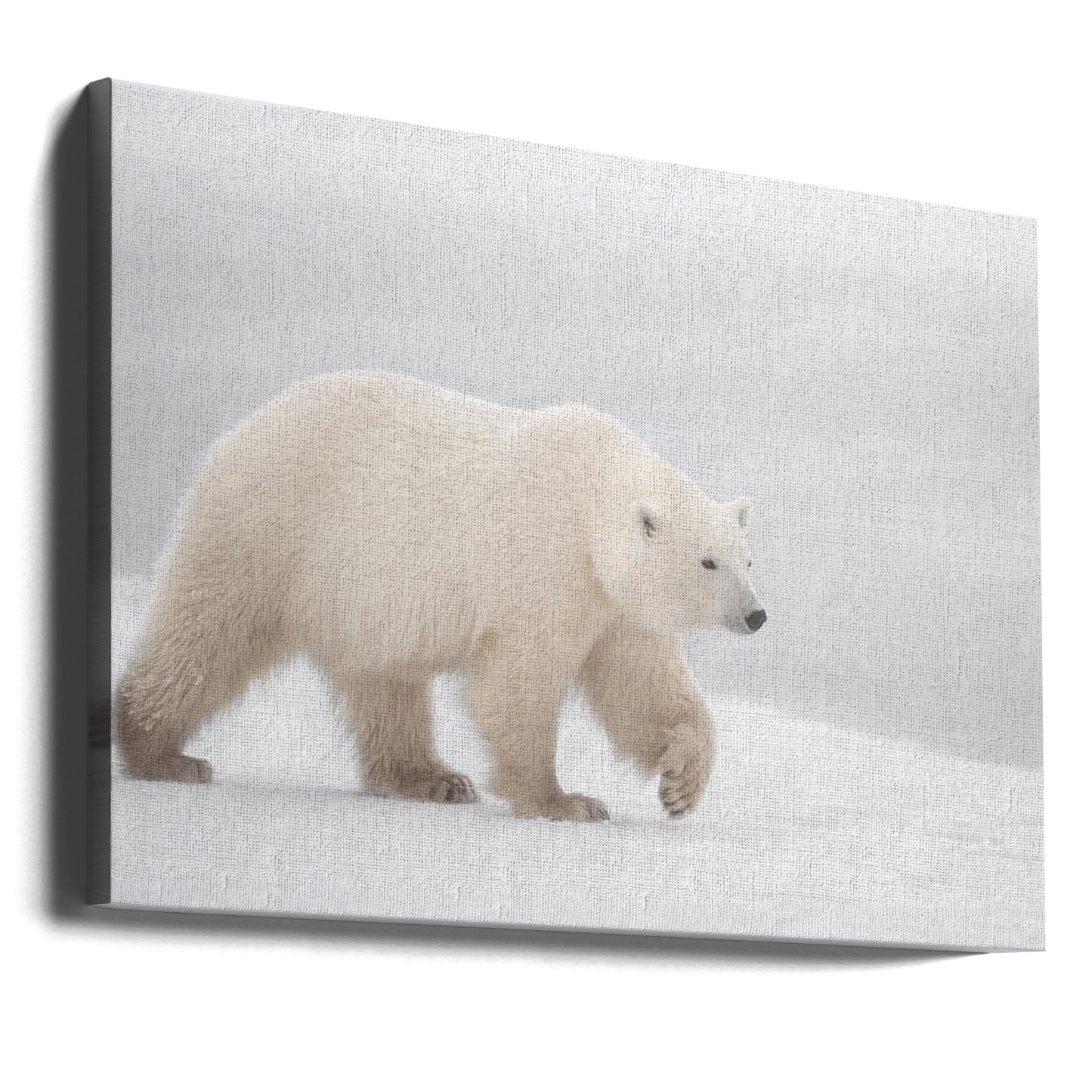 Bianco | Stampe su Tela