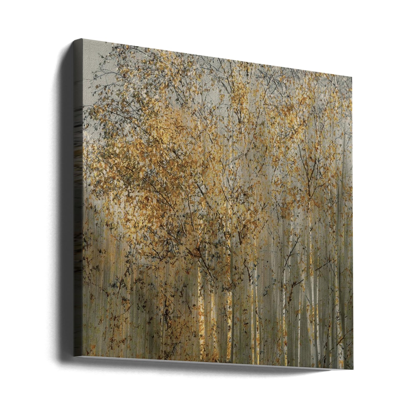 Birch impression | Canvas