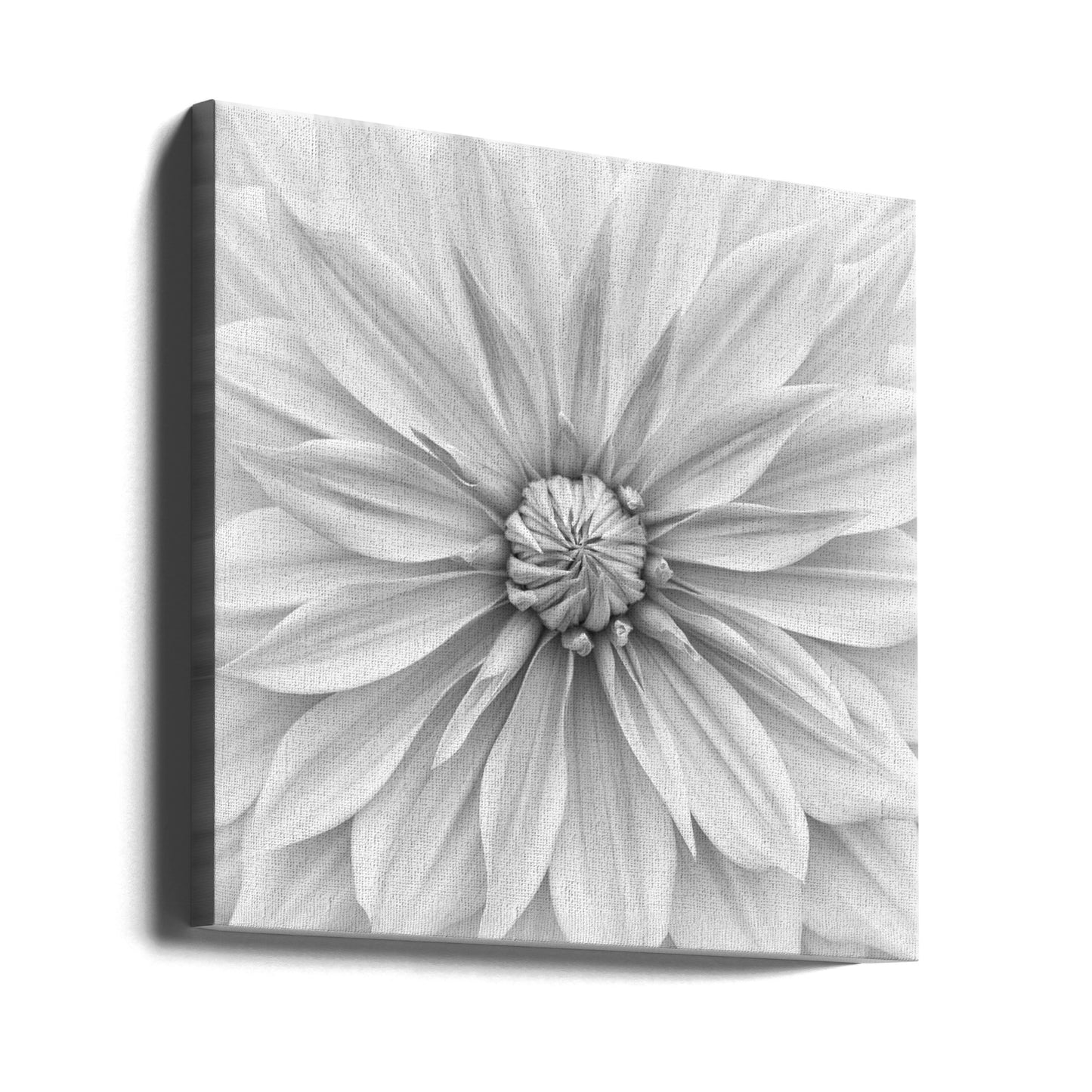 Hamari Gold in Monochrom | Leinwand-Bilder