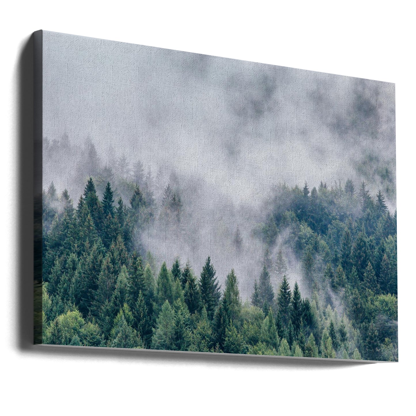 Petrichor | Canvas