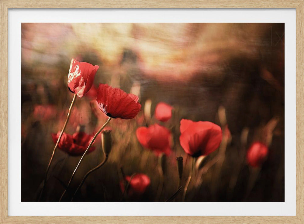 aire de la mañana | Posters  - Impresiones de Arte