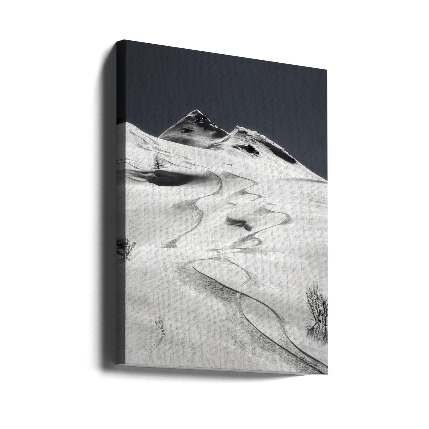 freeride | Impresiones en Lienzo