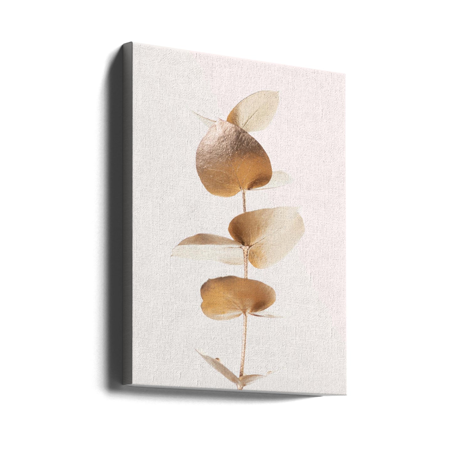 Eukalyptus Gold Nr. 06 | Leinwand-Bilder