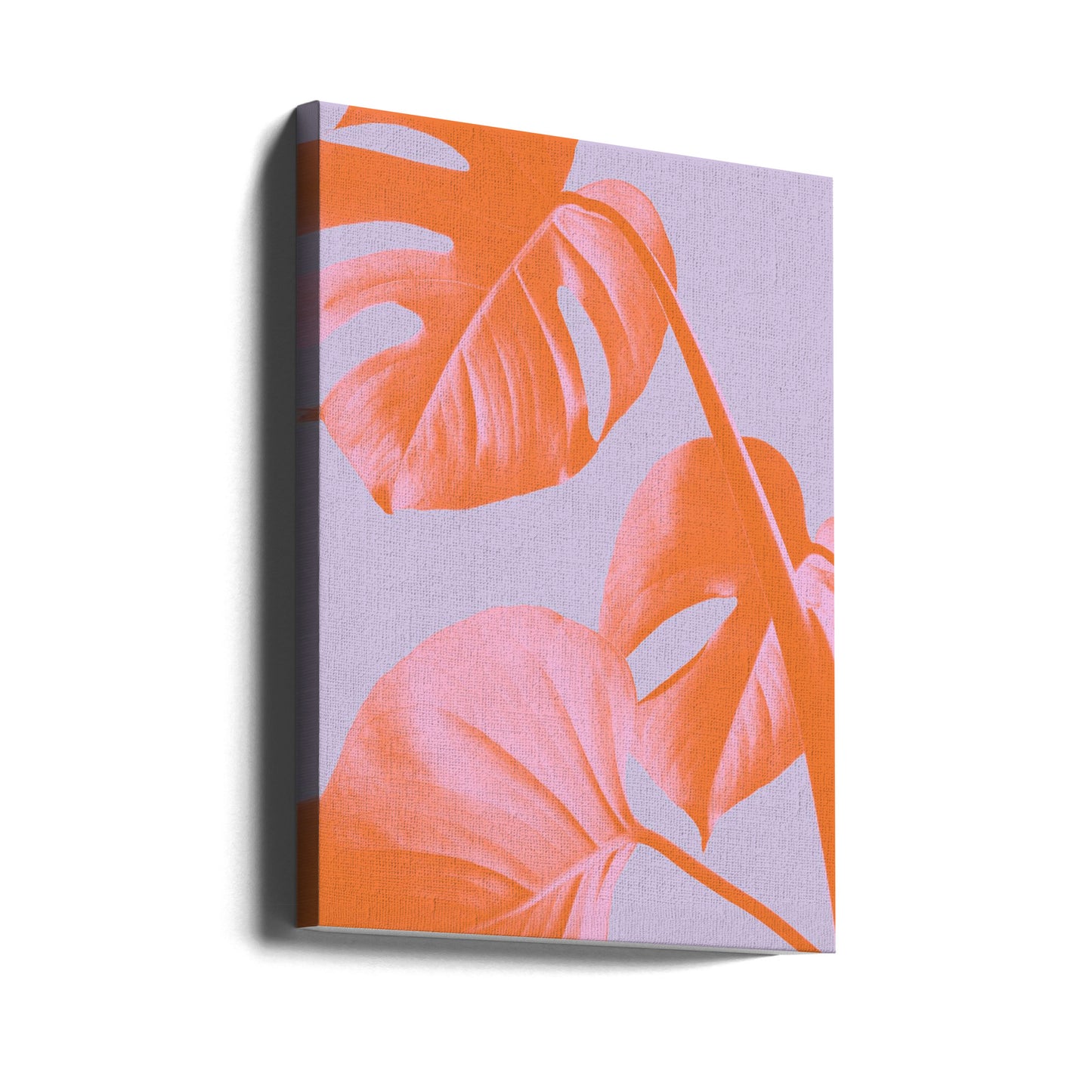 Monstera Lilla 03 | Lærredsbilleder
