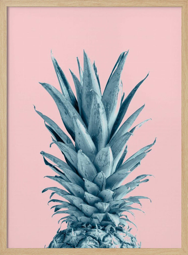 Ananasrosa 06 | Poster - Kunstdruck