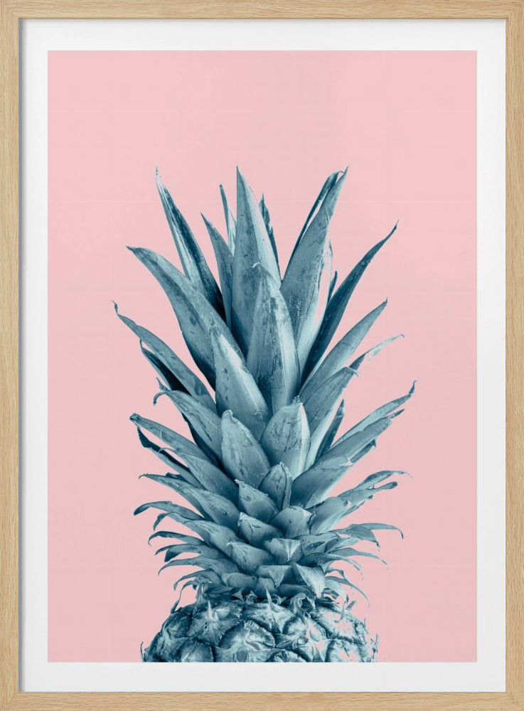 Ananasrosa 06 | Poster - Kunstdruck