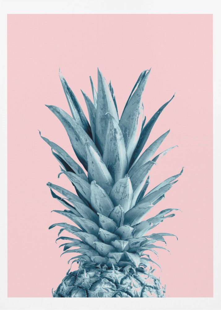 Ananasrosa 06 | Poster - Kunstdruck