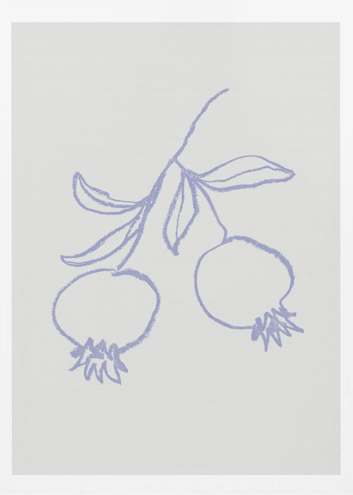 Grenade Lilas | Posters - Affiche Artistique
