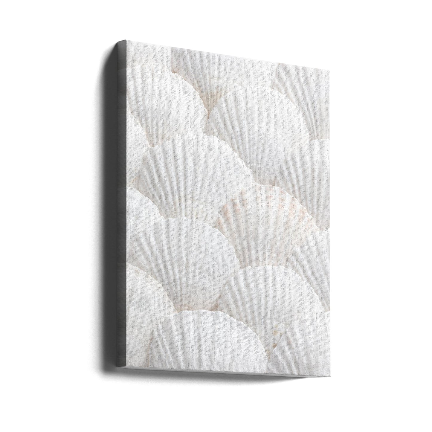 Snäckor_3 | Canvas
