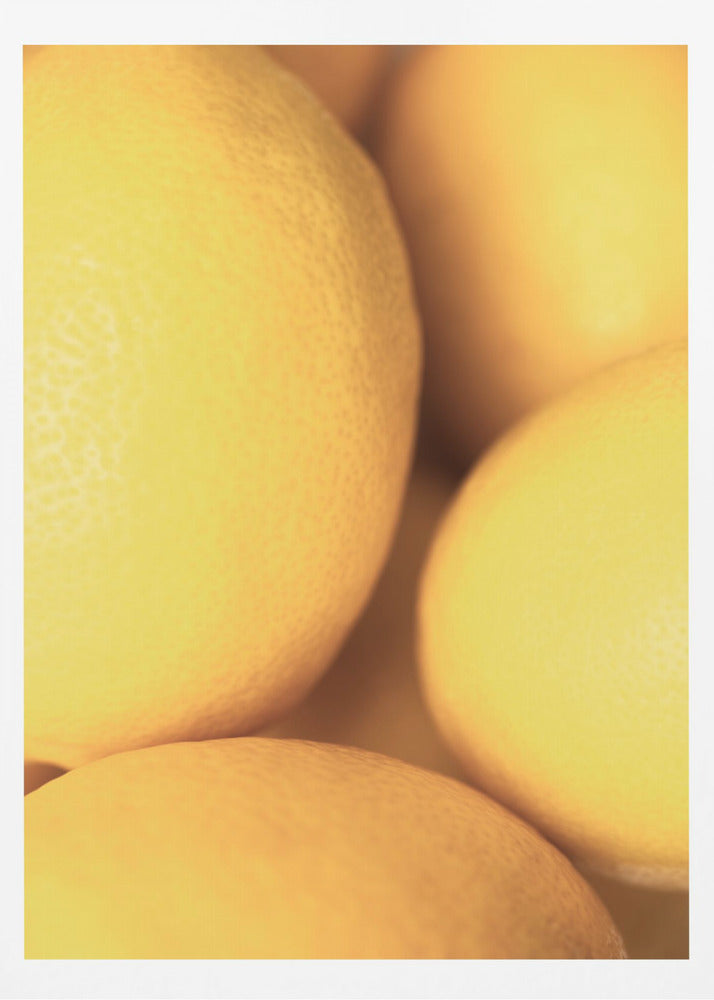 Citroner_2 | Poster