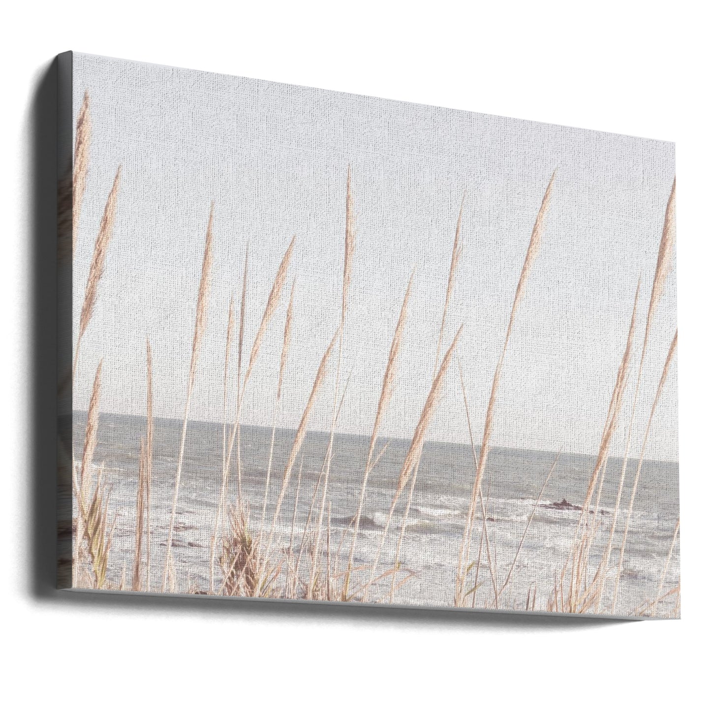 Strand_Vass_002 | Canvas