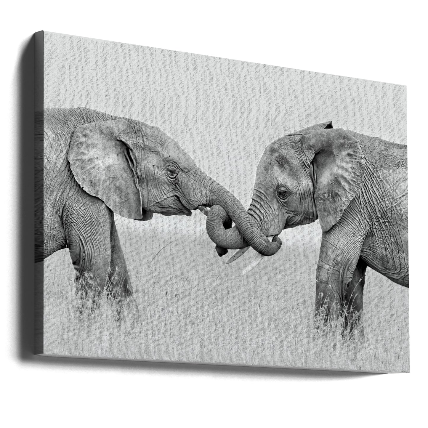 Konfrontation | Canvas