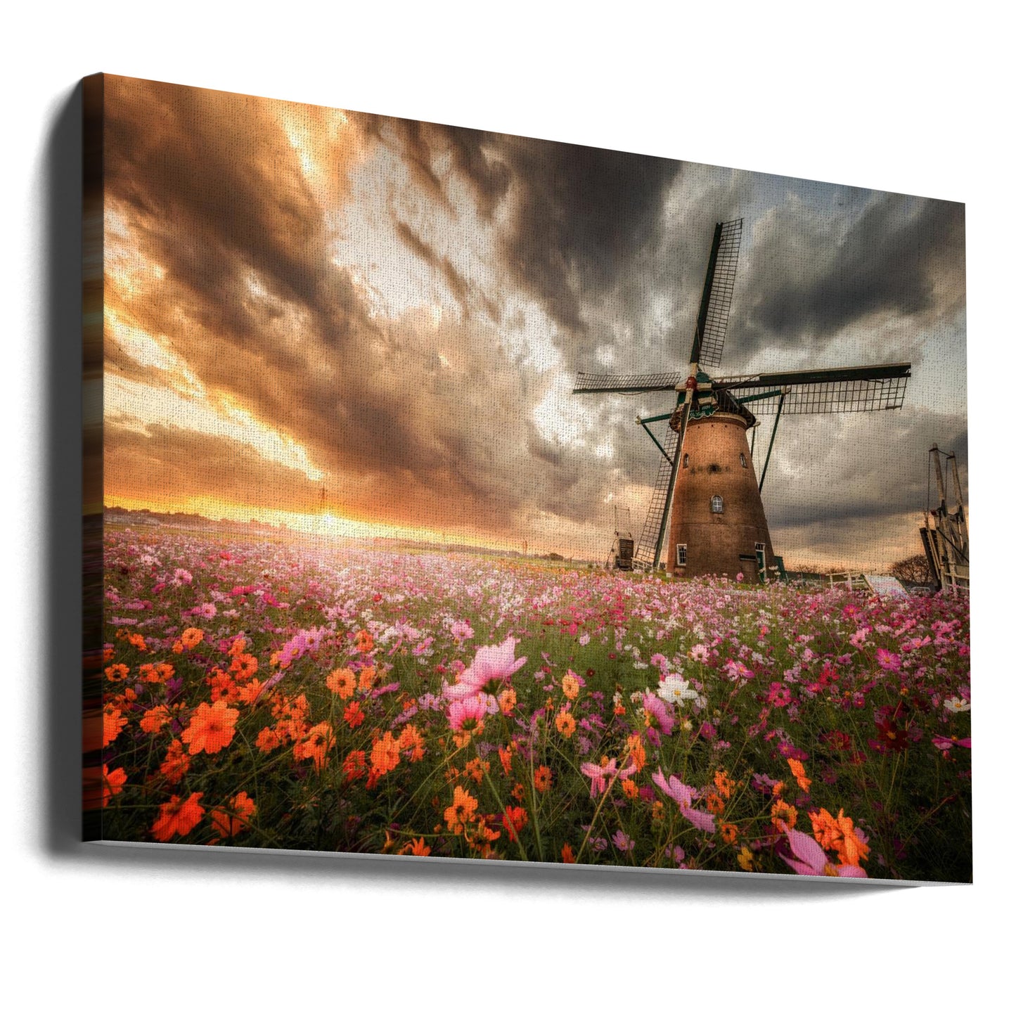 Magnificent flower world | Canvas