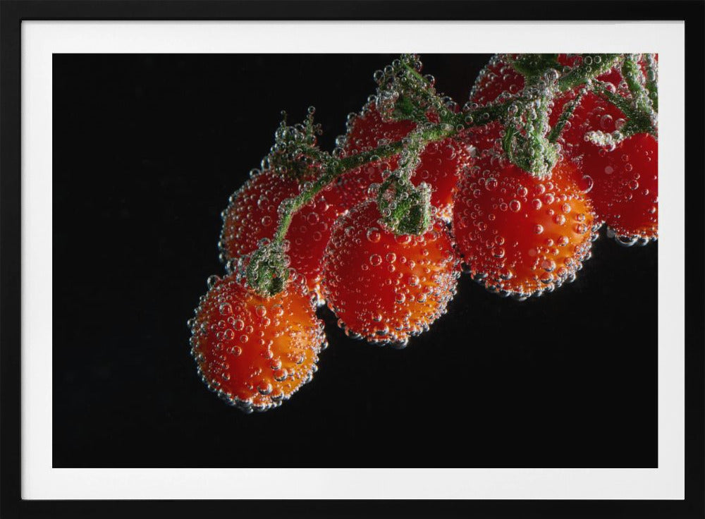 Tomables | Poster