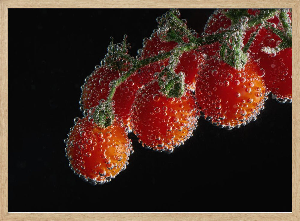 Tomables | Poster