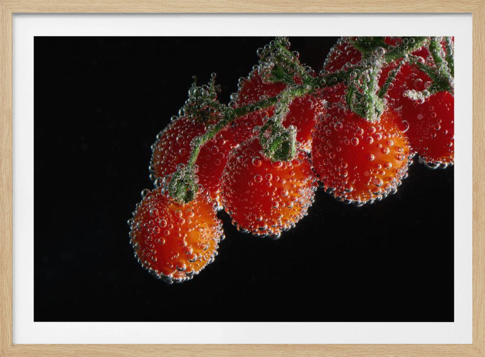 Tomables | Poster