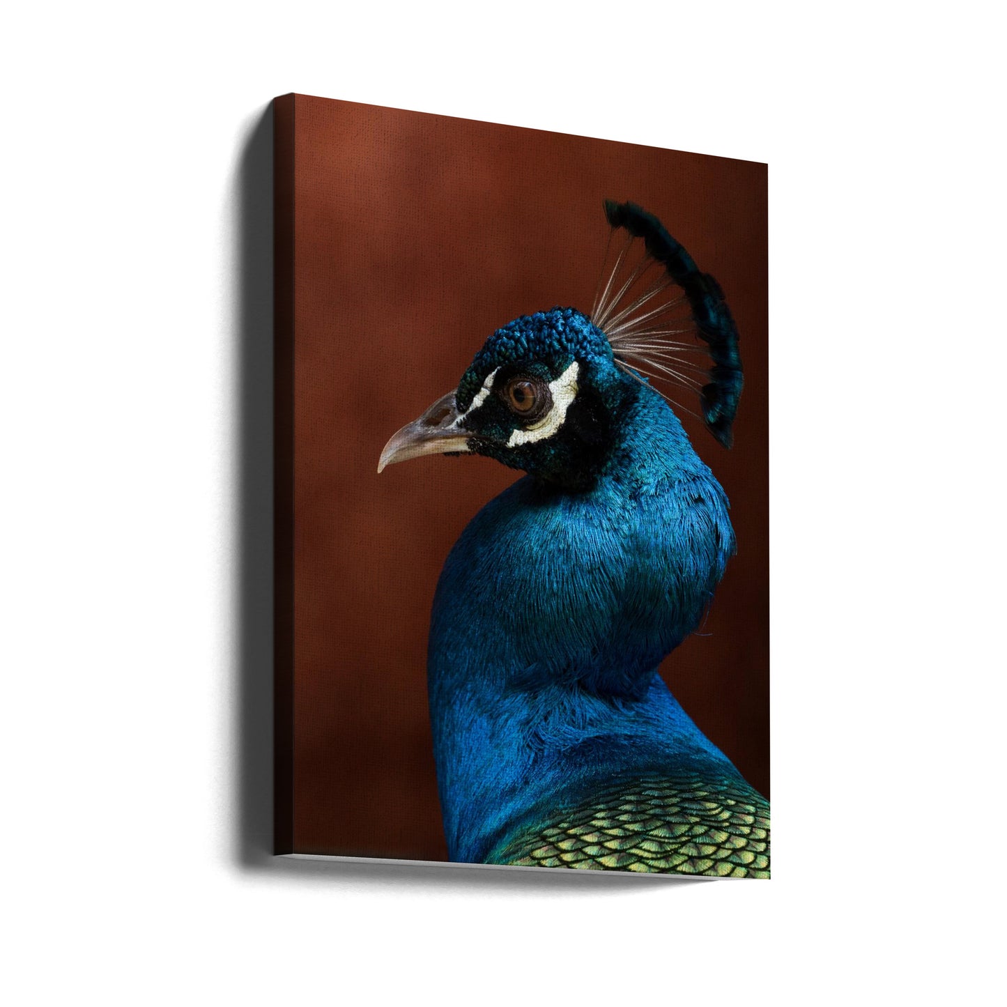 Seduction mode | Canvas
