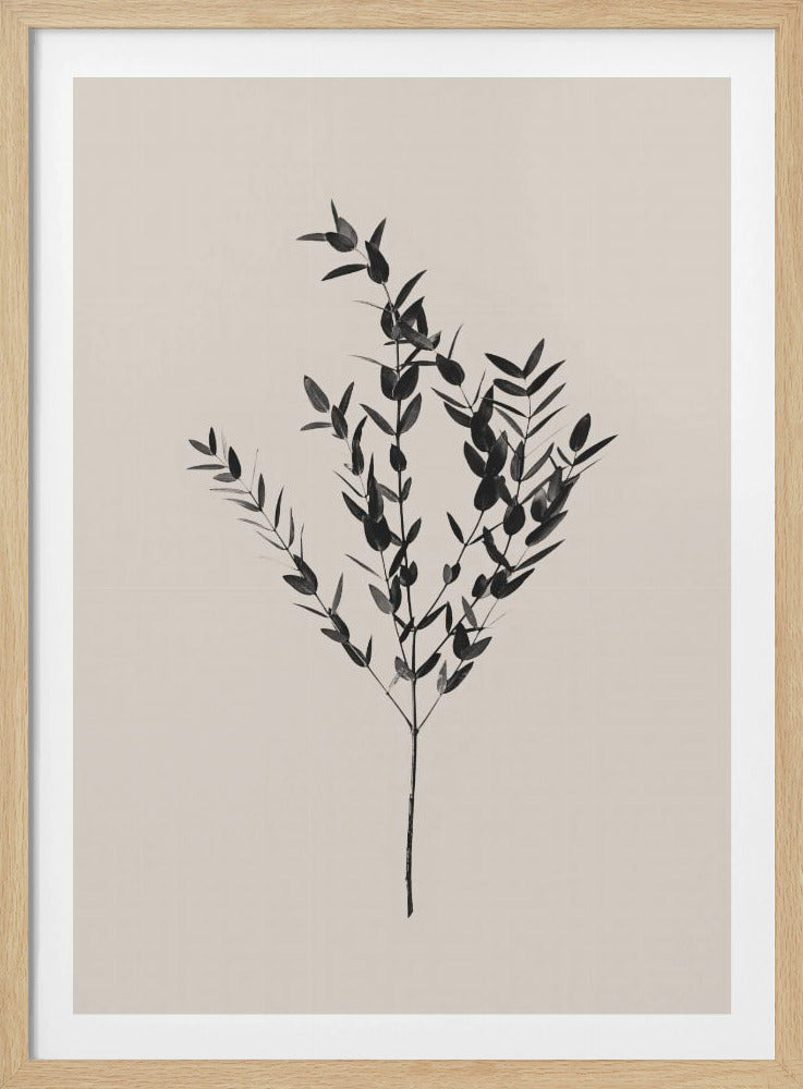 Atramentowy Botaniczny | Plakaty - Wydruki Artystyczne
