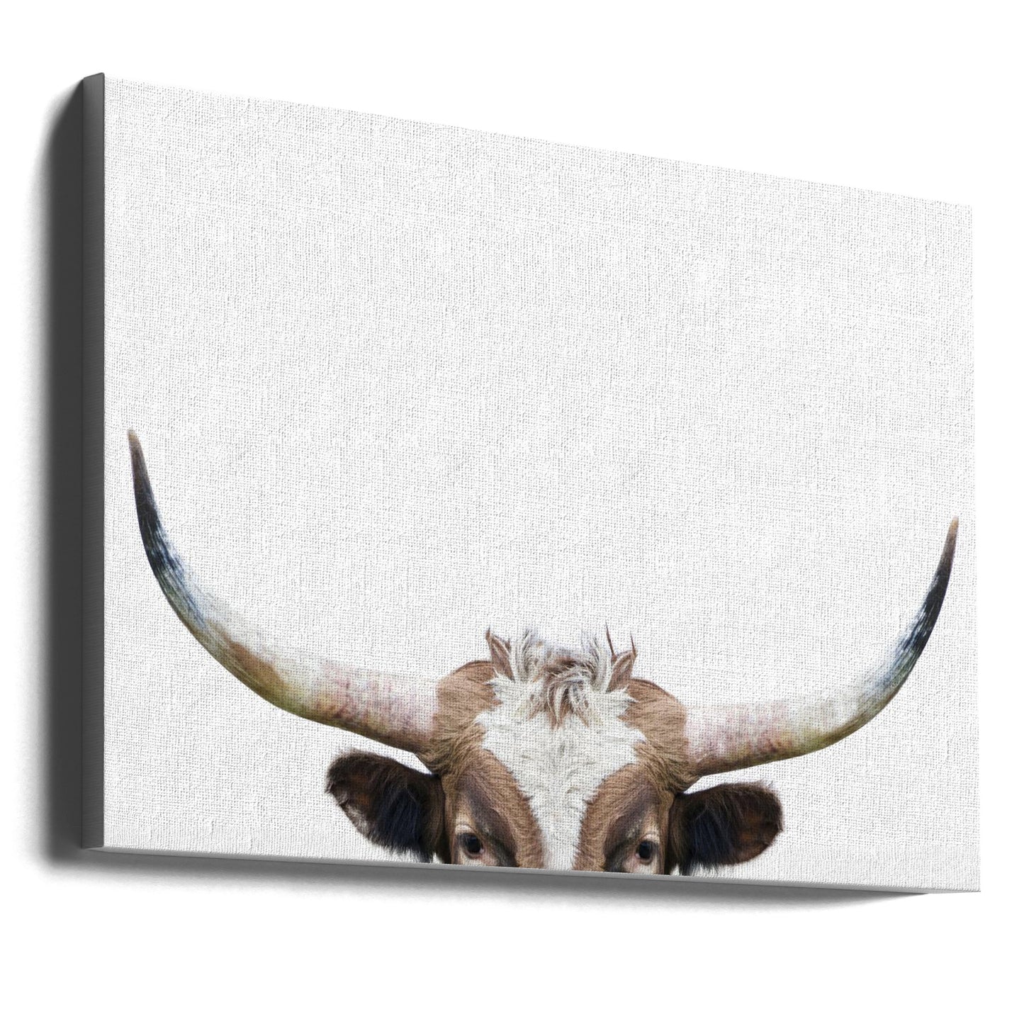 Kikande långhornsko | Canvas
