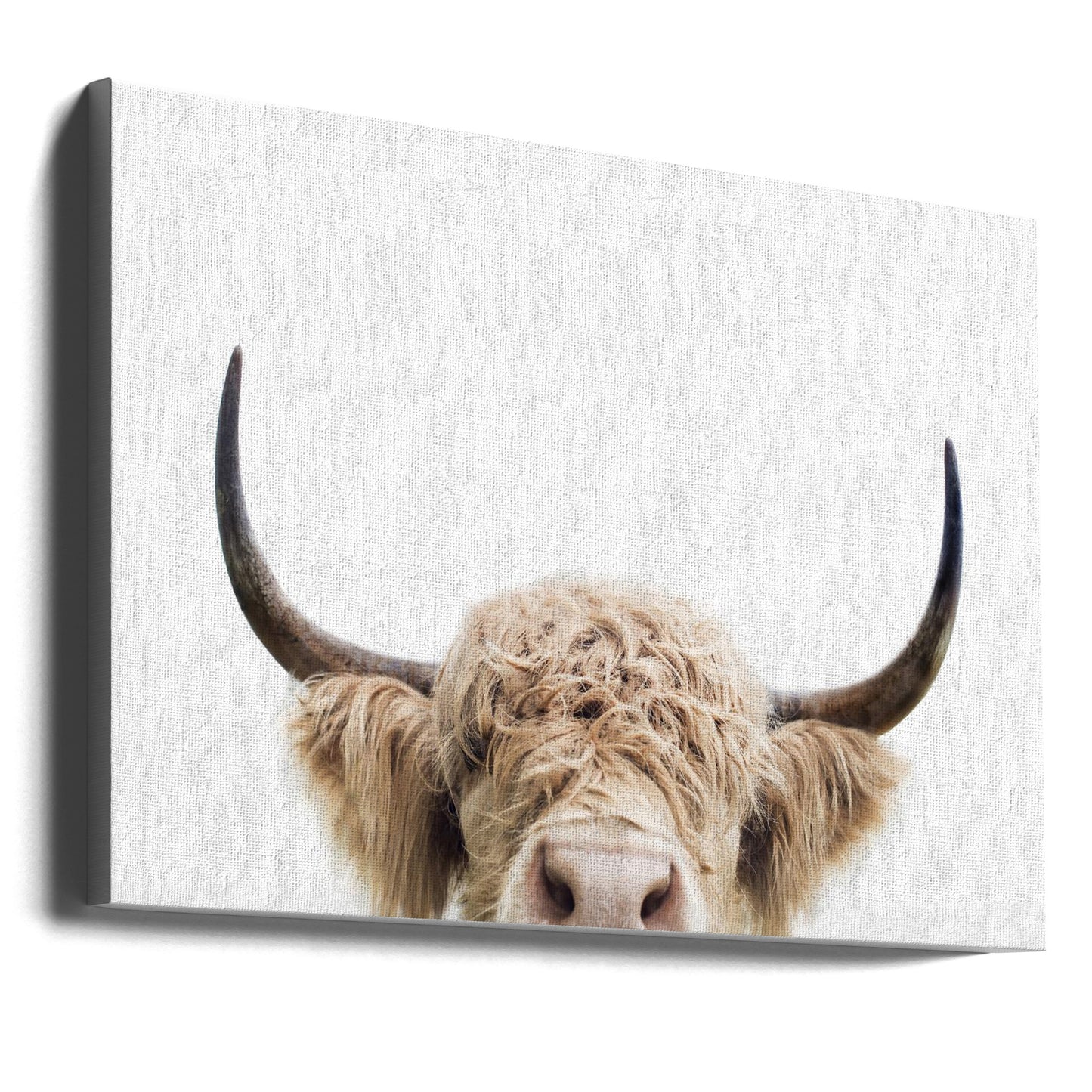 Guckende Kuh | Leinwand-Bilder