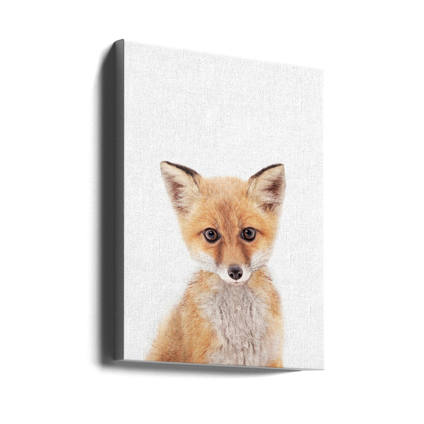 Baby Fox | Canvas