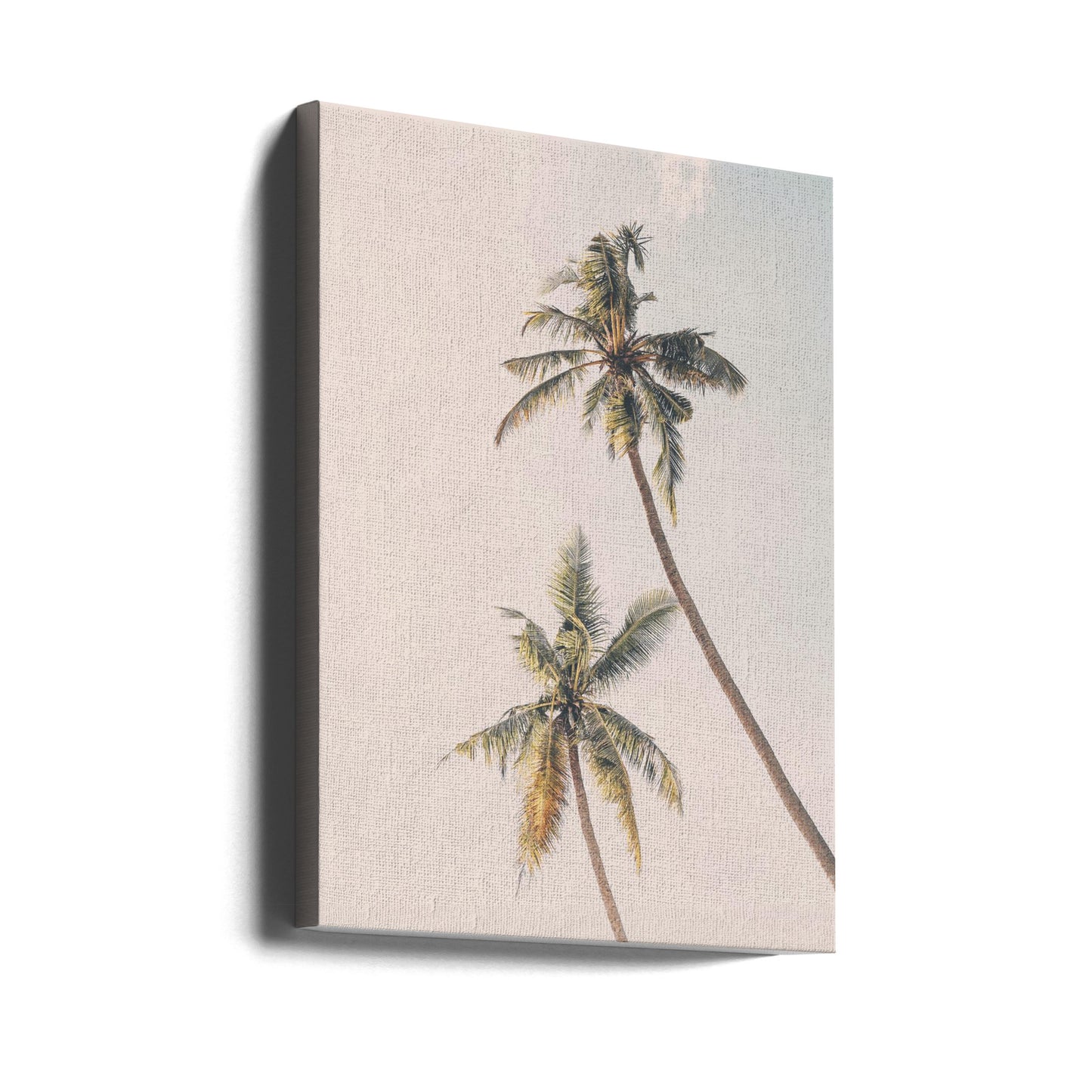 Palmiers tropicaux | Tableaux sur Toile