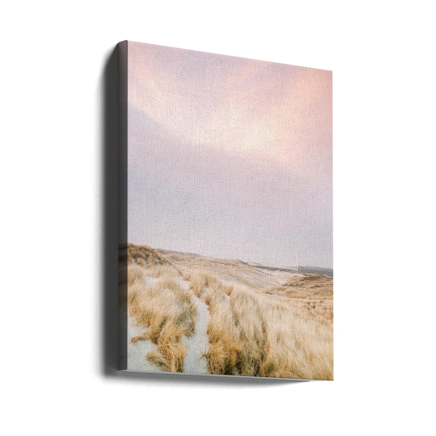 Ameland Dünen 1 | Leinwand-Bilder