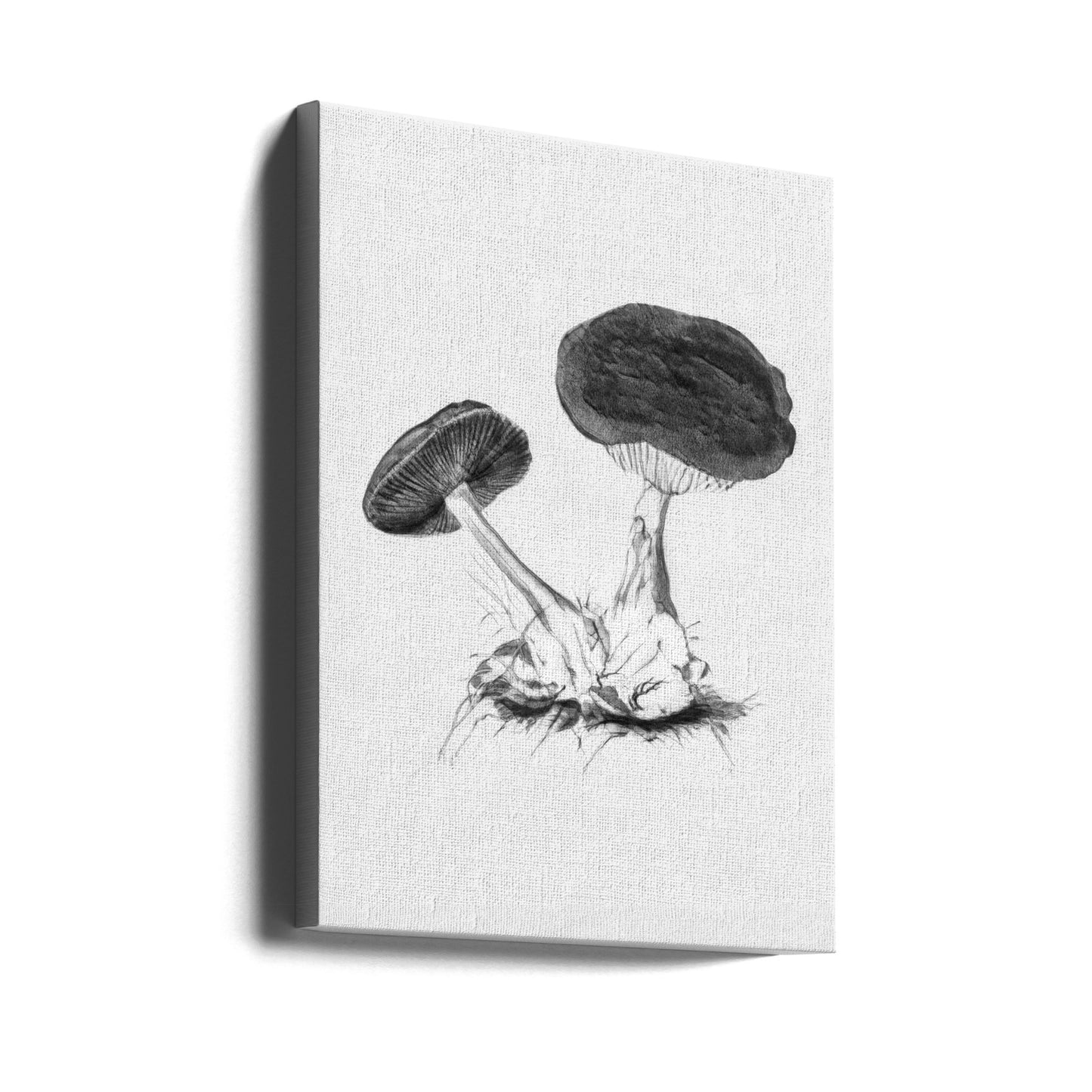 Vintage Violet Webcap Champignon Lys Sort/Hvid | Lærredsbilleder