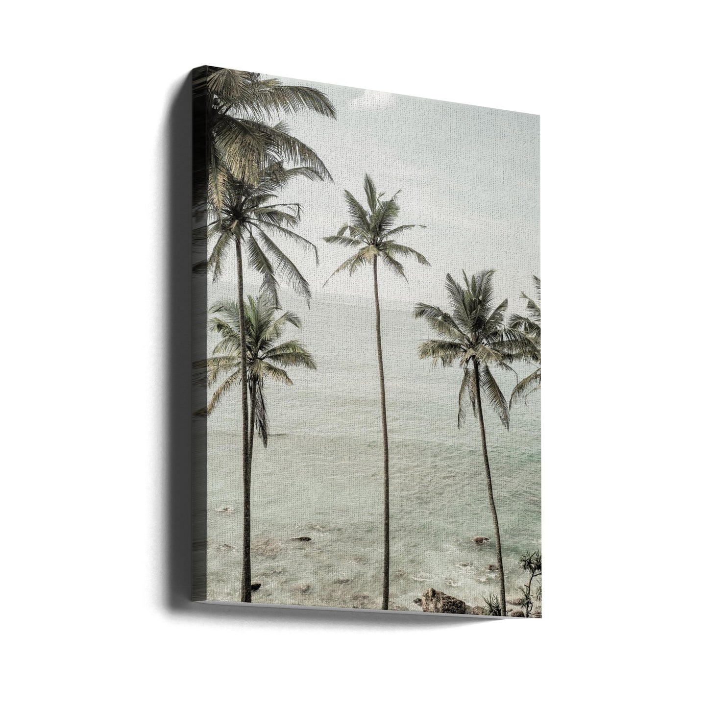 Rêves tropicaux | Tableaux sur Toile