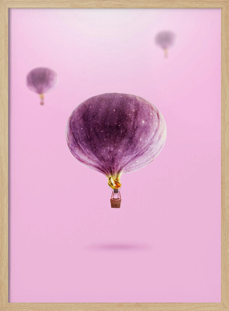 Figner Balloner | Plakater - Kunsttryk